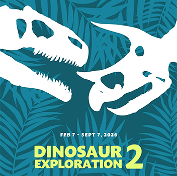 Dinosaur Exploration 2 graphic