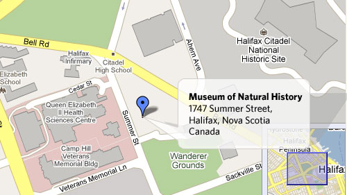 Museum Of Natural History Map Location & Map | Museum Of Natural History