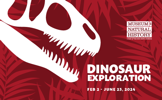 Dinosaur exhibit graphic.