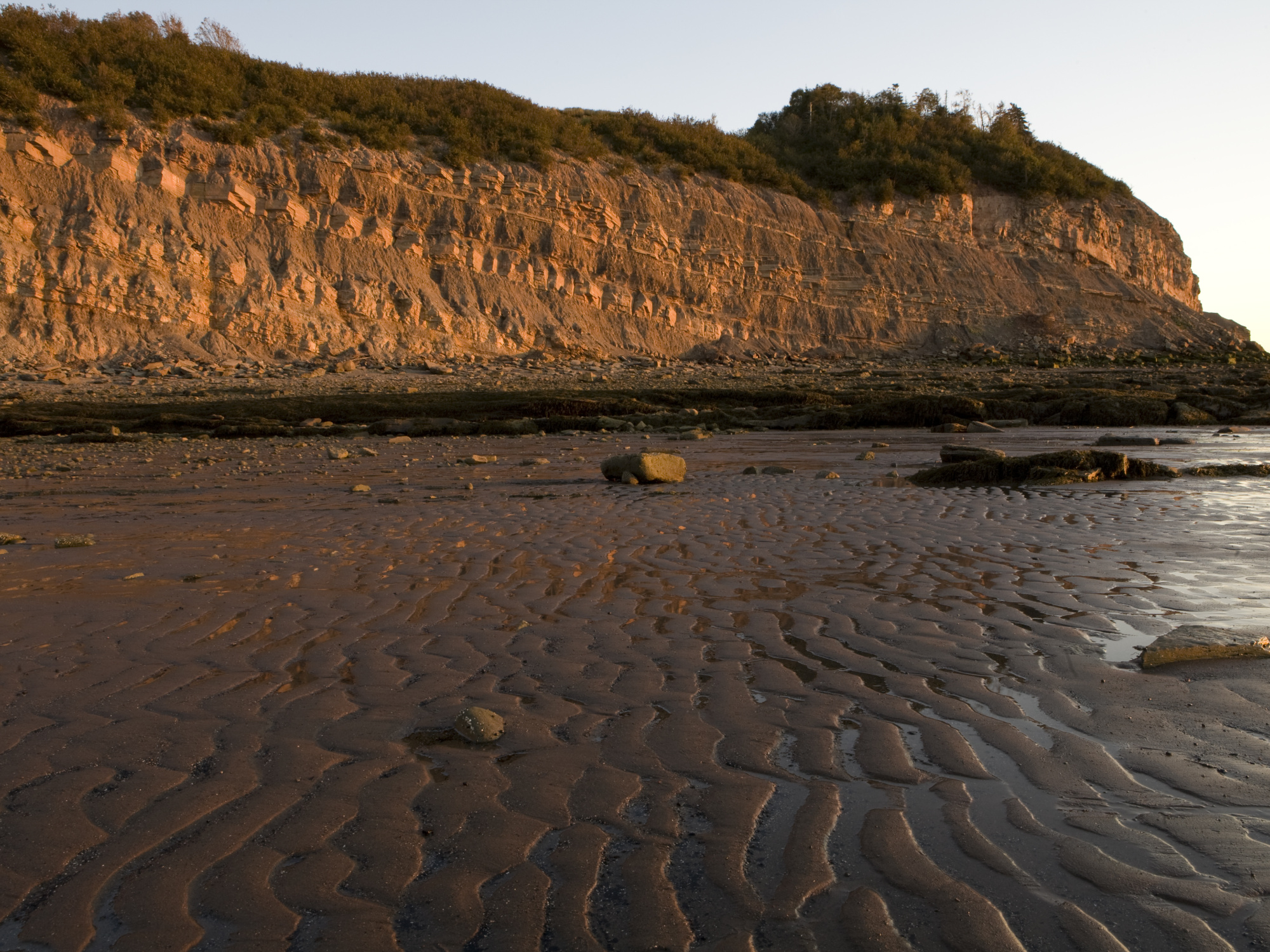 Joggins fossil cliffs.