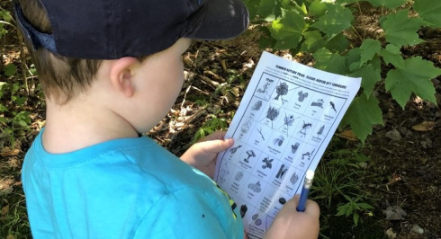 A little boy in the woods holding a museum activity sheet.