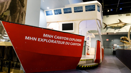 Canyon Explorer research vessel.