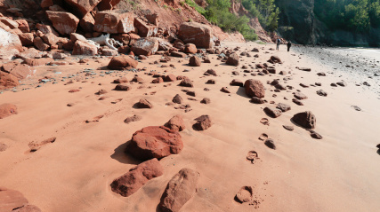 The beach at Wasson Bluff on the Bay of Fundy.