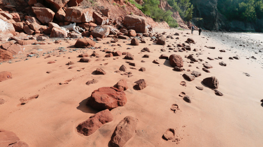 The beach at Wasson Bluff on the Bay of Fundy.