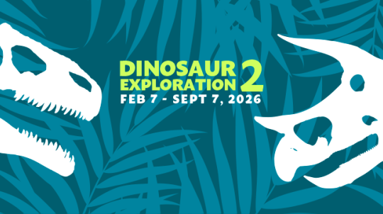 Dinosaur Exploration 2 graphic